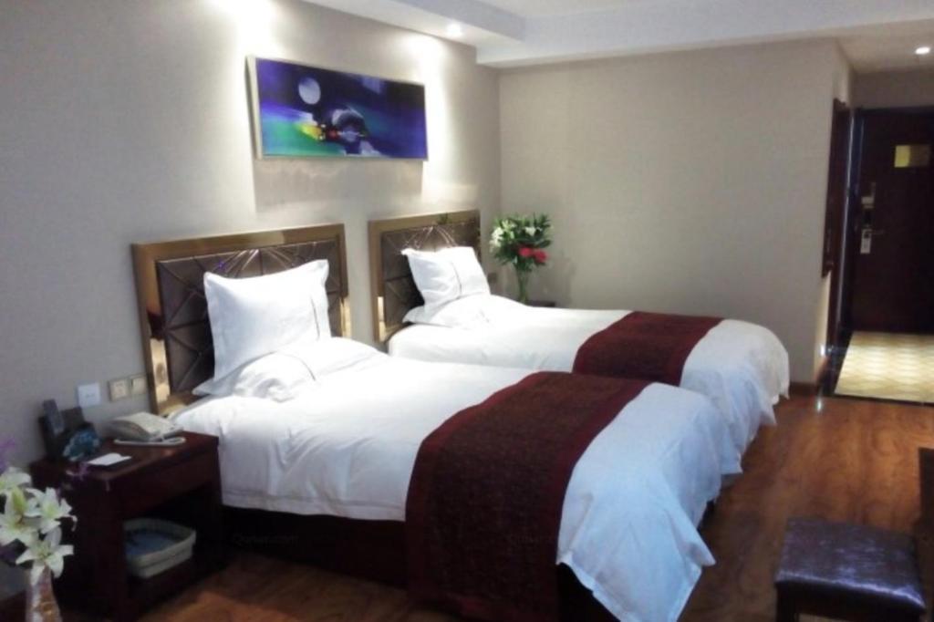 Greentree Inn Geermu Walking Street Business Hotel Golmud Extérieur photo